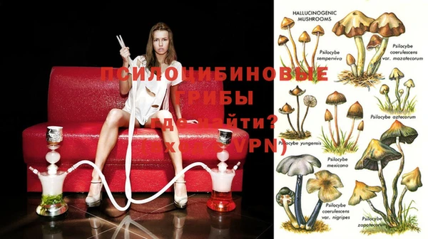 каннабис Алексеевка