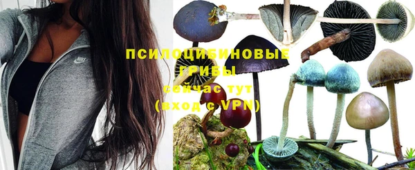МДМА Абинск
